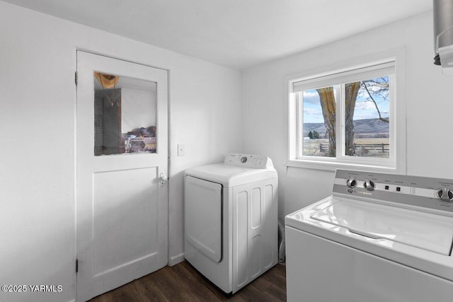 washroom with dark wood finished floors, laundry area, and separate washer and dryer