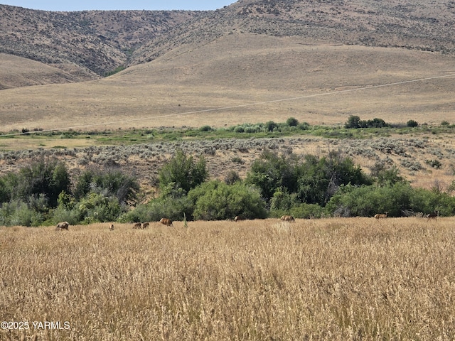 property view of mountains featuring a rural view