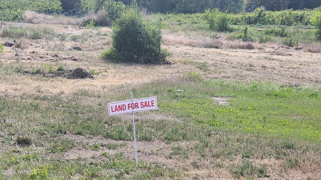 NNA Rigguns Road, Wapato, WA 98951 - photo 12