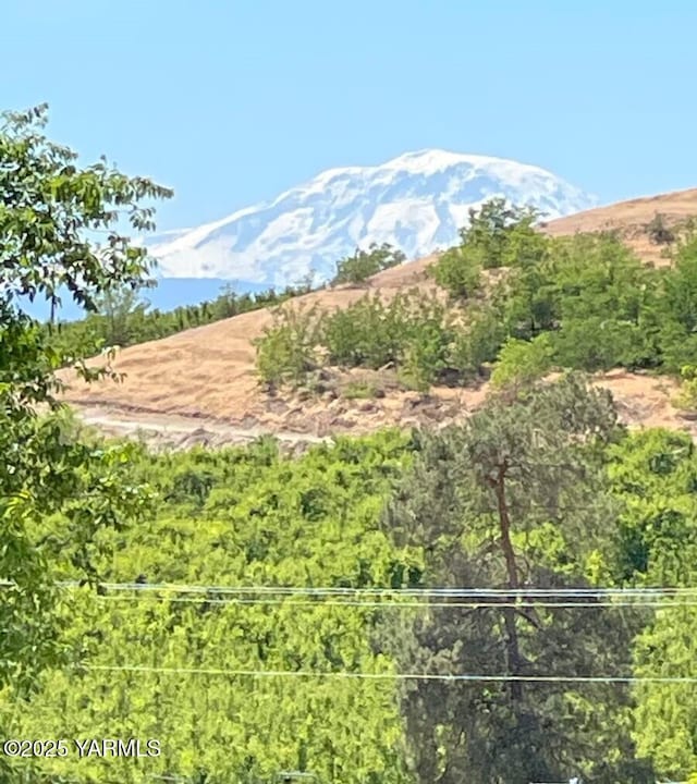 NNA Rigguns Road, Wapato, WA 98951 - photo 4
