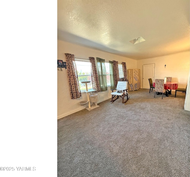 209 S 9th Ave, Yakima, WA 98902 - sitting room with carpet floors and a textured ceiling
