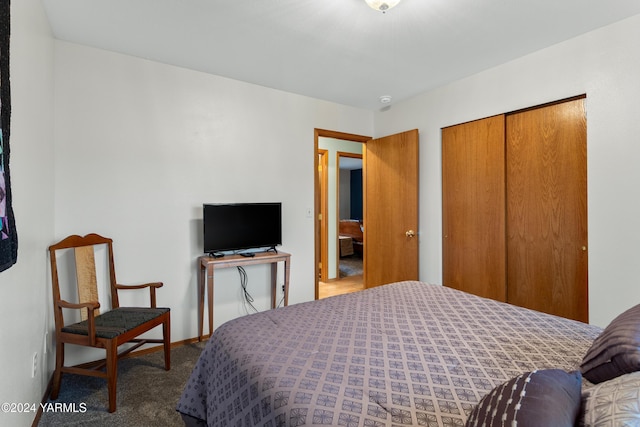 bedroom featuring carpet, baseboards, and a closet