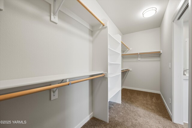 172004 NW Dogwood Rd, Prosser, WA 99350 - walk in closet with carpet floors