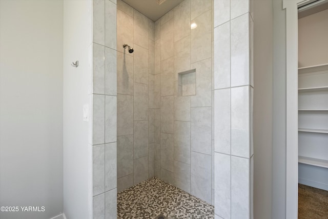 172004 NW Dogwood Rd, Prosser, WA 99350 - bathroom with tiled shower and a spacious closet