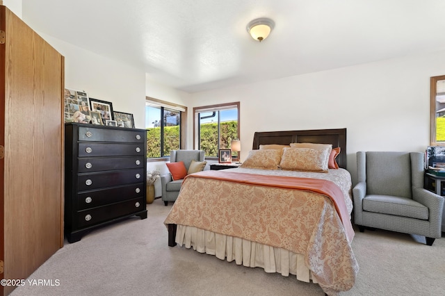 101 N 48th Ave Unit 31A, Yakima, WA 98908 - bedroom featuring light colored carpet