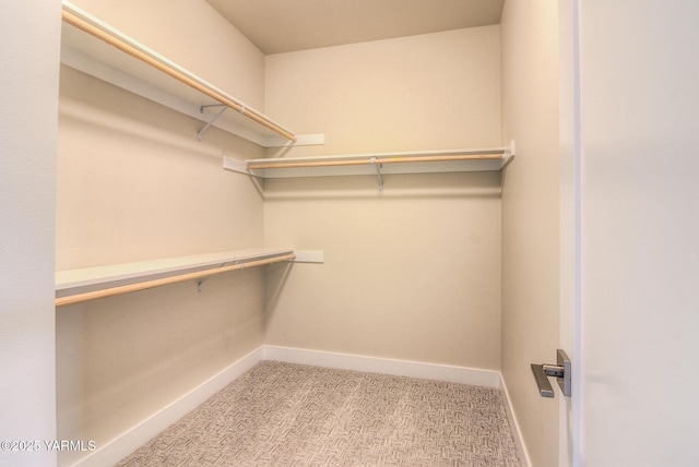302 N 90th Ave, Yakima, WA 98908 - walk in closet featuring carpet flooring