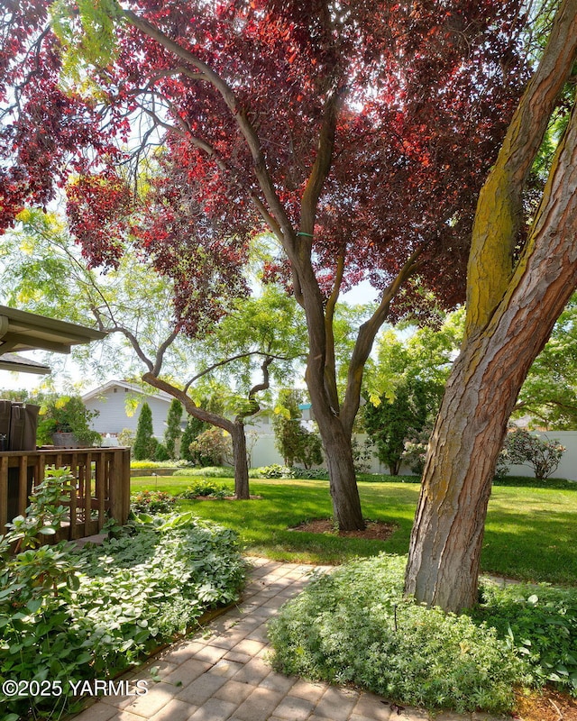 3204 Clinton Way, Yakima, WA 98902 - view of grassy yard
