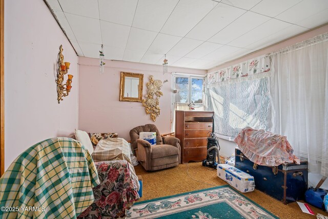 living area with carpet floors