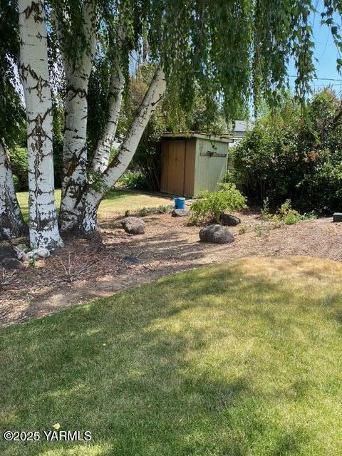 view of yard featuring a storage unit and an outdoor structure