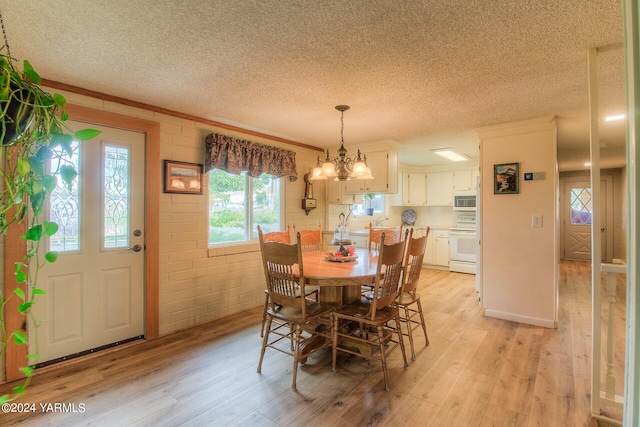 dining area featuring a textured ceiling, ornamental molding, and light wood-style flooring