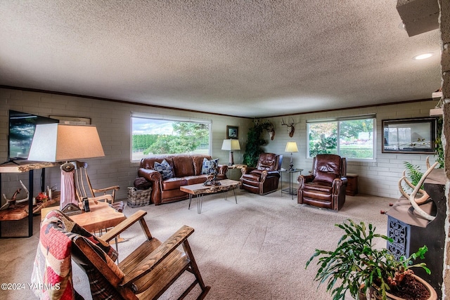 living area featuring ornamental molding, concrete block wall, plenty of natural light, and carpet