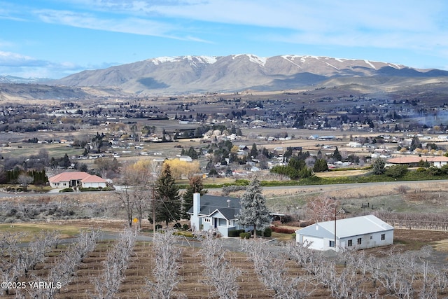 view of mountain feature