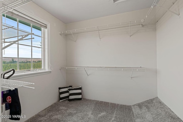 11809 Occidental Rd, Yakima, WA 98903 - photo 38