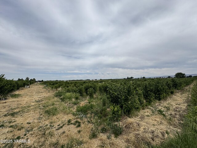 NKA Ashue Rd, Wapato, WA 98951 - photo 19