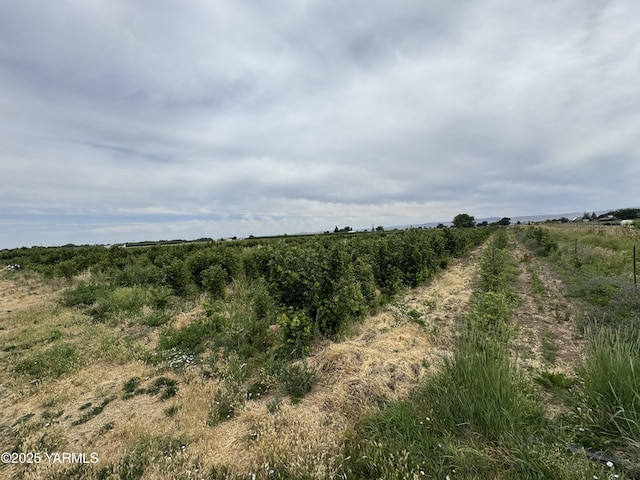 NKA Ashue Rd, Wapato, WA 98951 - photo 20