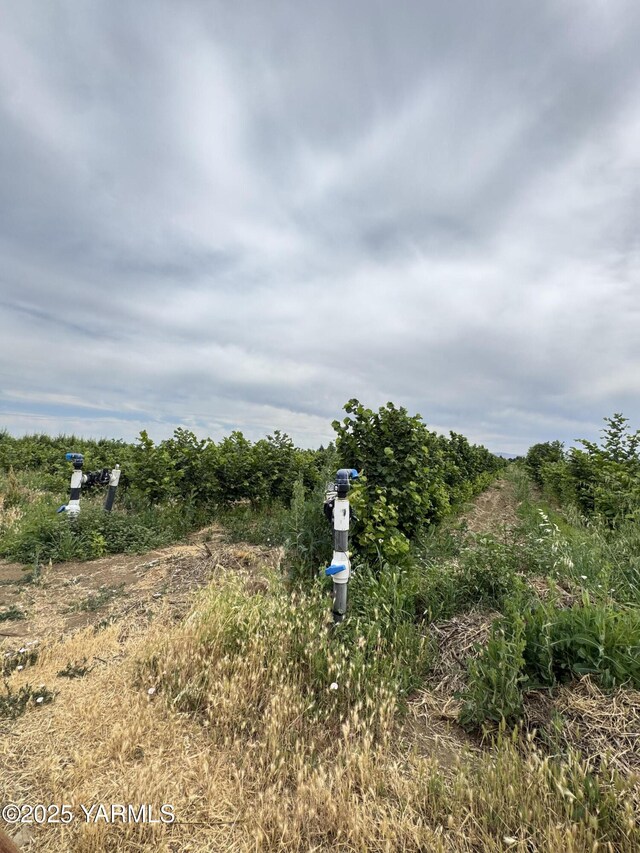 NKA Ashue Rd, Wapato, WA 98951 - photo 17