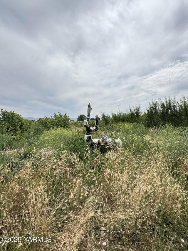 NKA Ashue Rd, Wapato, WA 98951 - photo 15