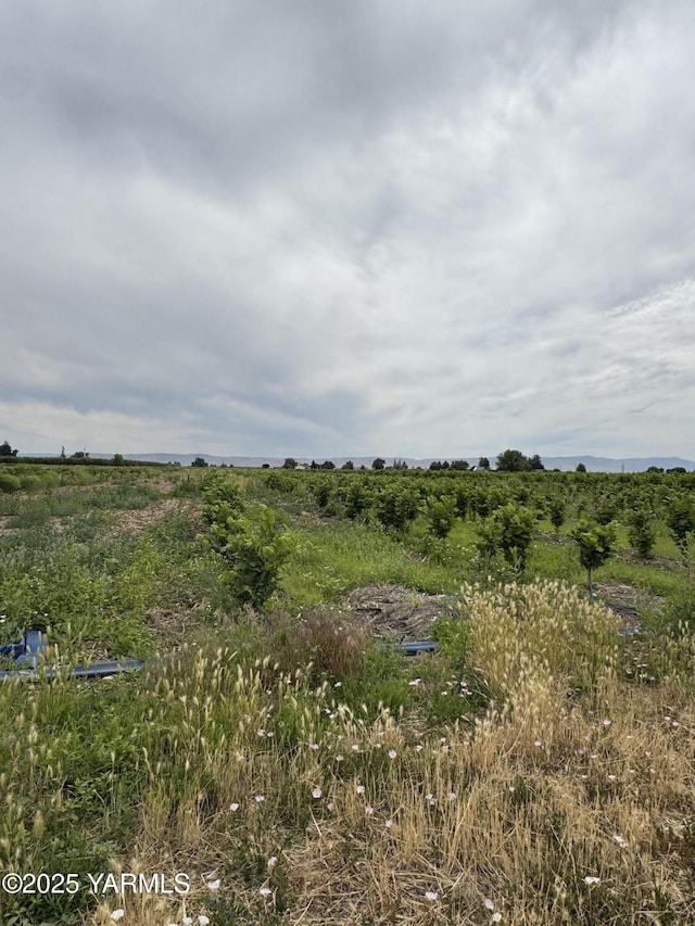 NKA Ashue Rd, Wapato, WA 98951 - photo 13
