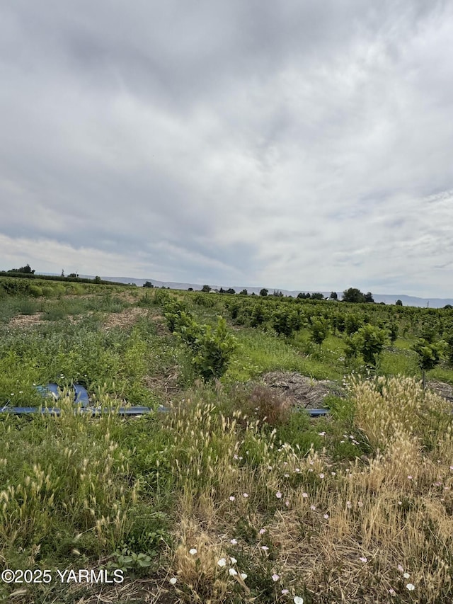 NKA Ashue Rd, Wapato, WA 98951 - photo 12