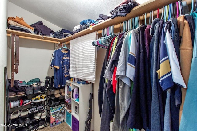 spacious closet with carpet flooring