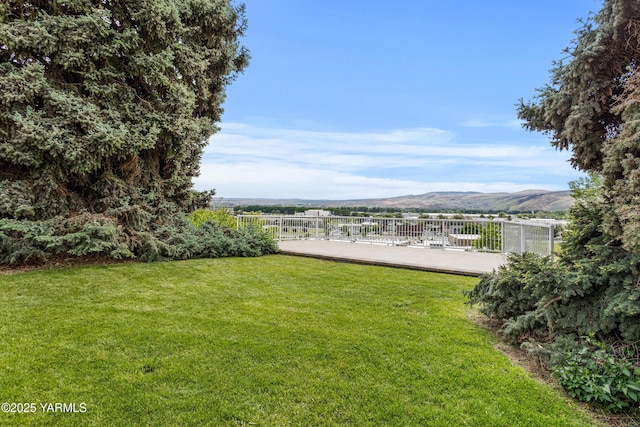 view of yard featuring a mountain view