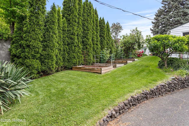 view of green lawn featuring a garden