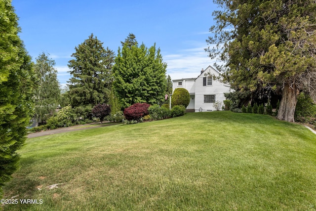 view of grassy yard