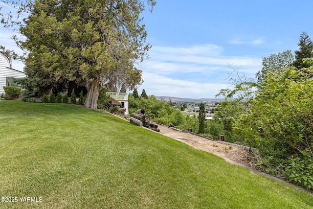 view of green lawn
