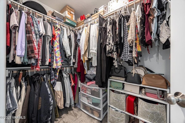 19700 N Beers Rd, Prosser, WA 99350 - walk in closet with carpet