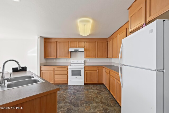 kitchen with under cabinet range hood, white appliances, a sink, stone finish flooring, and dark countertops