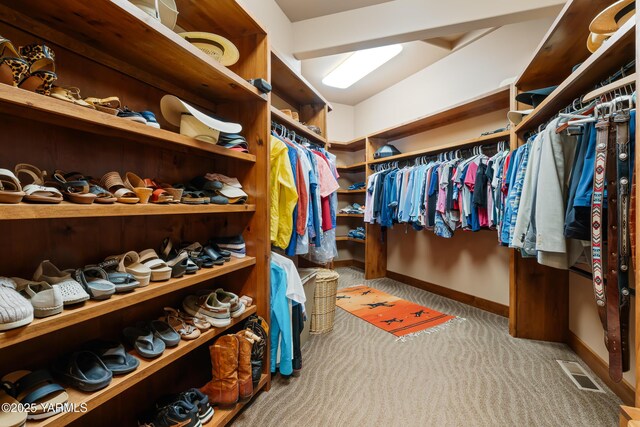 spacious closet featuring carpet and visible vents