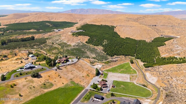 aerial view with a mountain view and a rural view