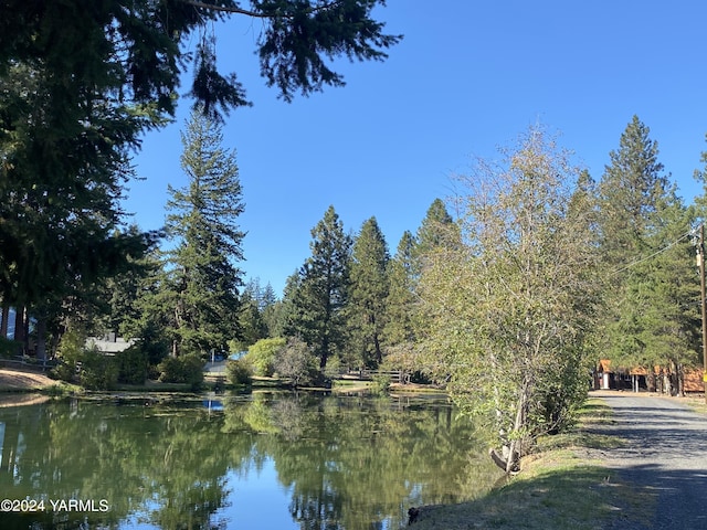 230 Pine Cliffs Dr, Naches, WA 98937 - property view of water