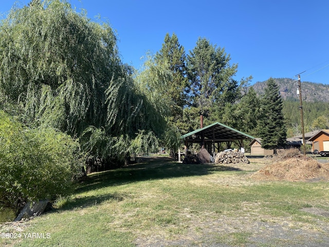 230 Pine Cliffs Dr, Naches, WA 98937 - view of yard with a carport