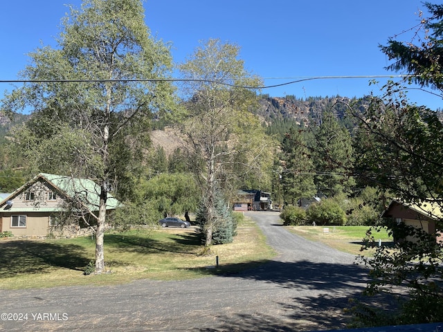 230 Pine Cliffs Dr, Naches, WA 98937 - view of road with driveway and a view of trees