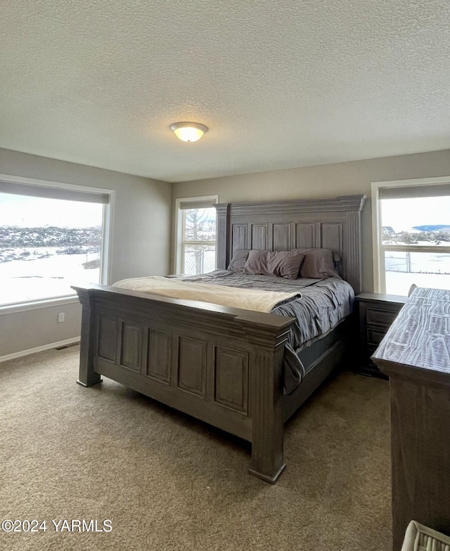 bedroom with multiple windows, baseboards, dark colored carpet, and a textured ceiling