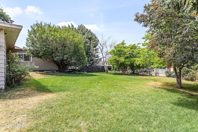 118 Glen Dr, Zillah, WA 98953 - view of yard