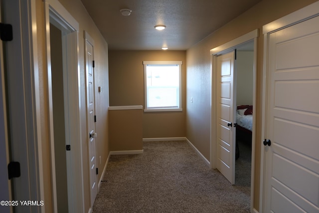 2206 Porter Loop, Yakima, WA 98901 - hallway with carpet flooring, baseboards, and a textured ceiling