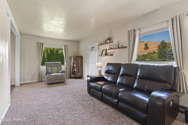 1531 Old Stage Way, Yakima, WA 98908 - carpeted living area with baseboards