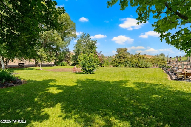 1531 Old Stage Way, Yakima, WA 98908 - view of grassy yard