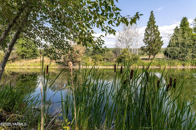 1355 Cook Rd, Yakima, WA 98908 - water view