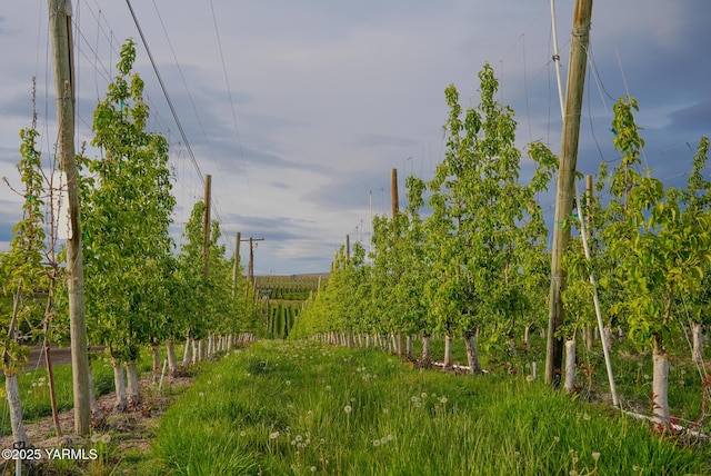 370 Macy Rd, Zillah, WA 98953