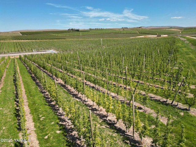 370 Macy Rd, Zillah, WA 98953