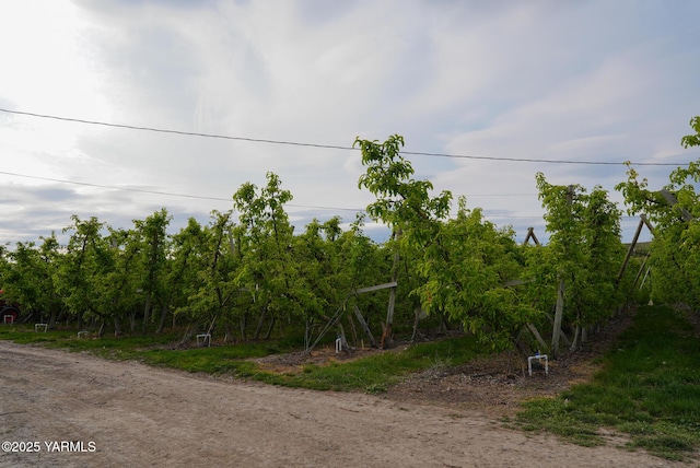 370 Macy Rd, Zillah, WA 98953