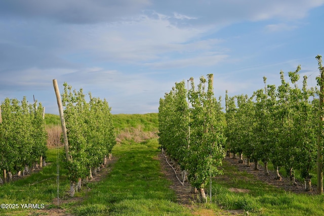 370 Macy Rd, Zillah, WA 98953
