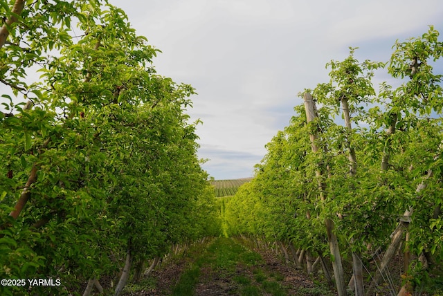 370 Macy Rd, Zillah, WA 98953