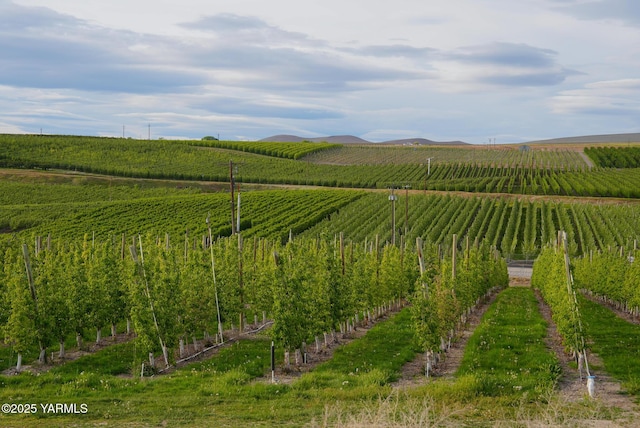 370 Macy Rd, Zillah, WA 98953