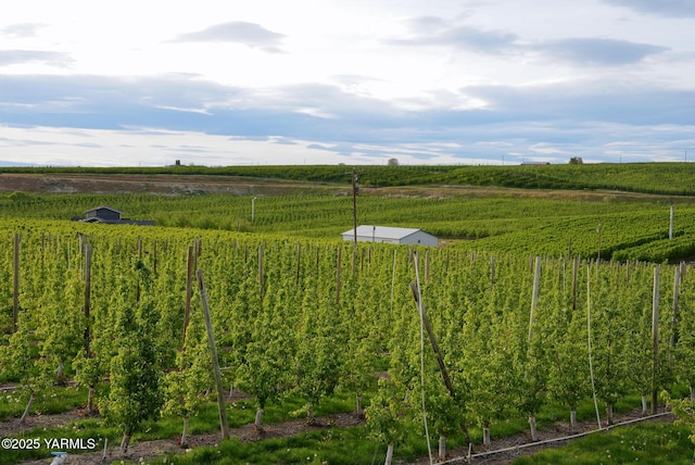 370 Macy Rd, Zillah, WA 98953