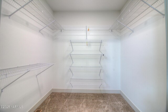 spacious closet featuring carpet