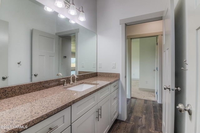 bathroom featuring wood finished floors and vanity